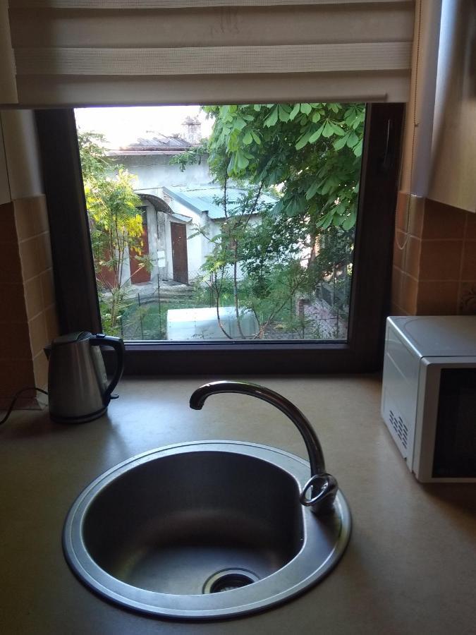 Mangal And Terrace In Center Apartment リヴィウ エクステリア 写真